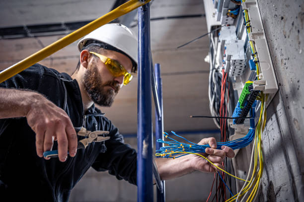 Best Ceiling Fan Installation Electrician  in Tidmore Bend, AL